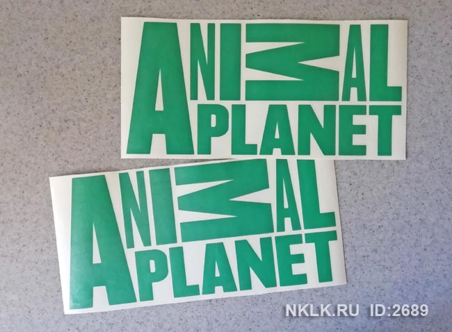  Animal Planet