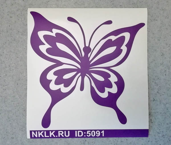   (butterfly)