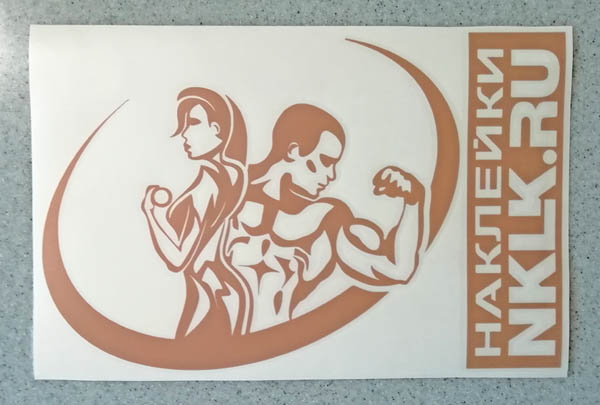  Fitness Club ( )