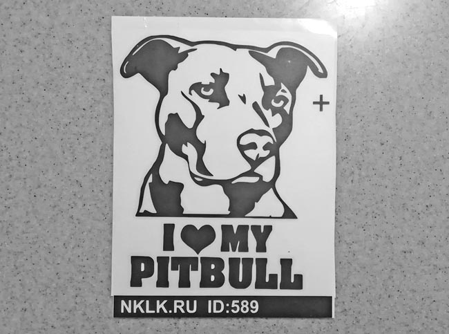  I love my pitbull