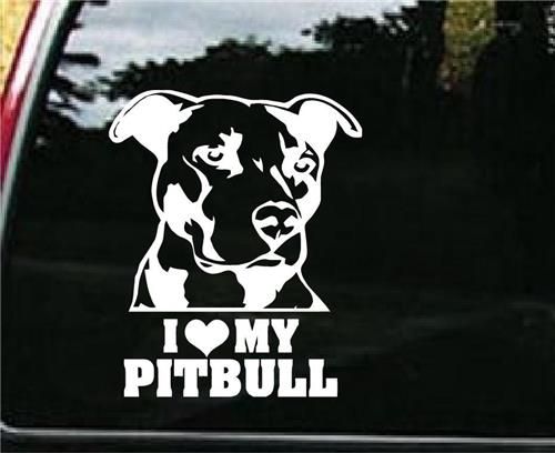  I love my pitbull