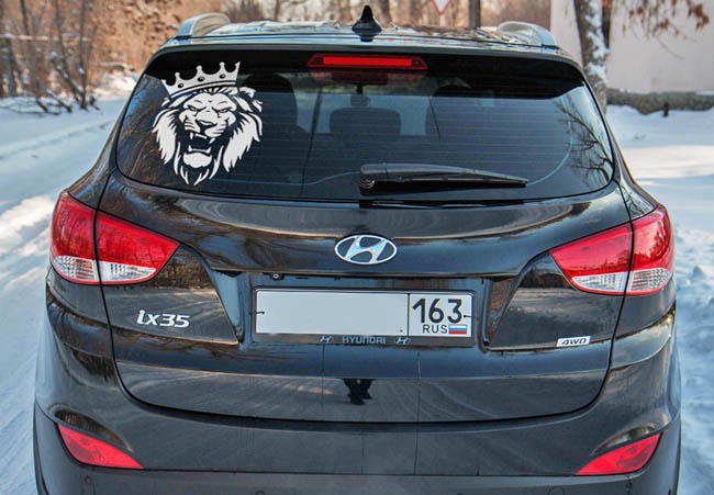  Lion-King ( )
