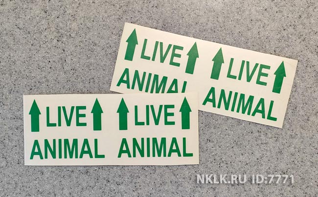 �������� �Live Animal�