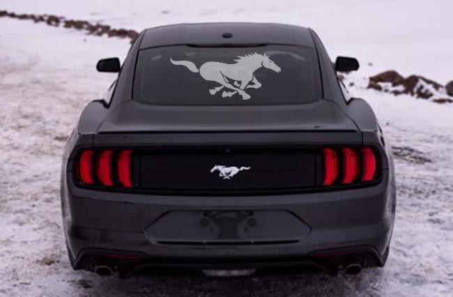 �������� ��������