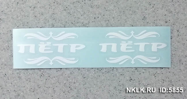 ϸ