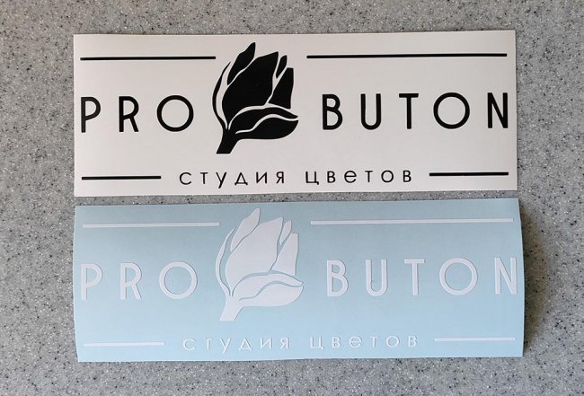  PRO BUTON logo