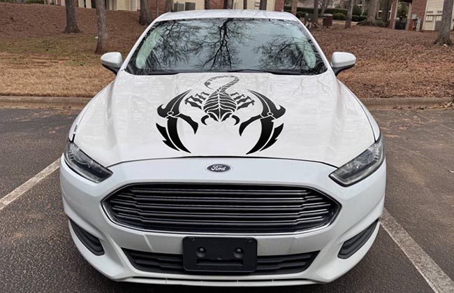  Scorpion