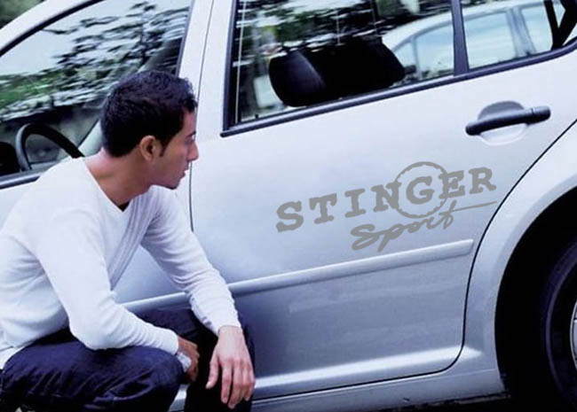  Stinger Sport