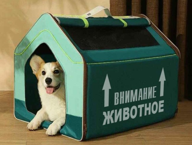 �������� ��������� ��������