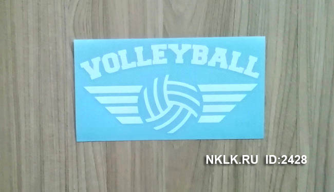  Volleyball - 