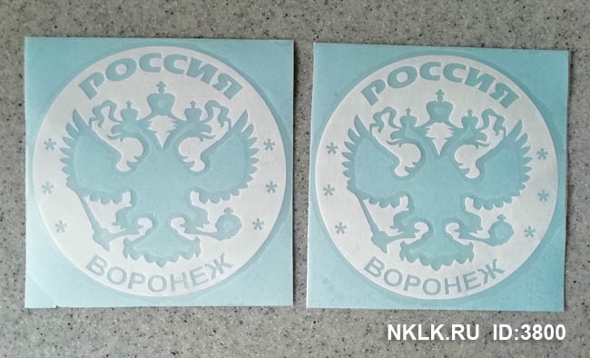   (Voronezh)